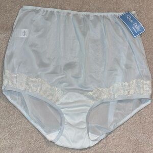 Dixie Belle Women’s Classic Nylon Briefs Panties Powder Light Blue Size 10